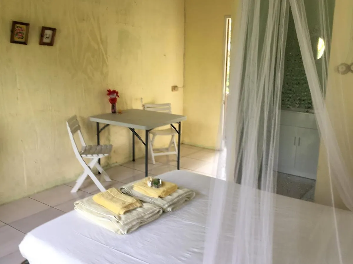 Easymans' Winifred Beach Cottage ポート・アントニオ